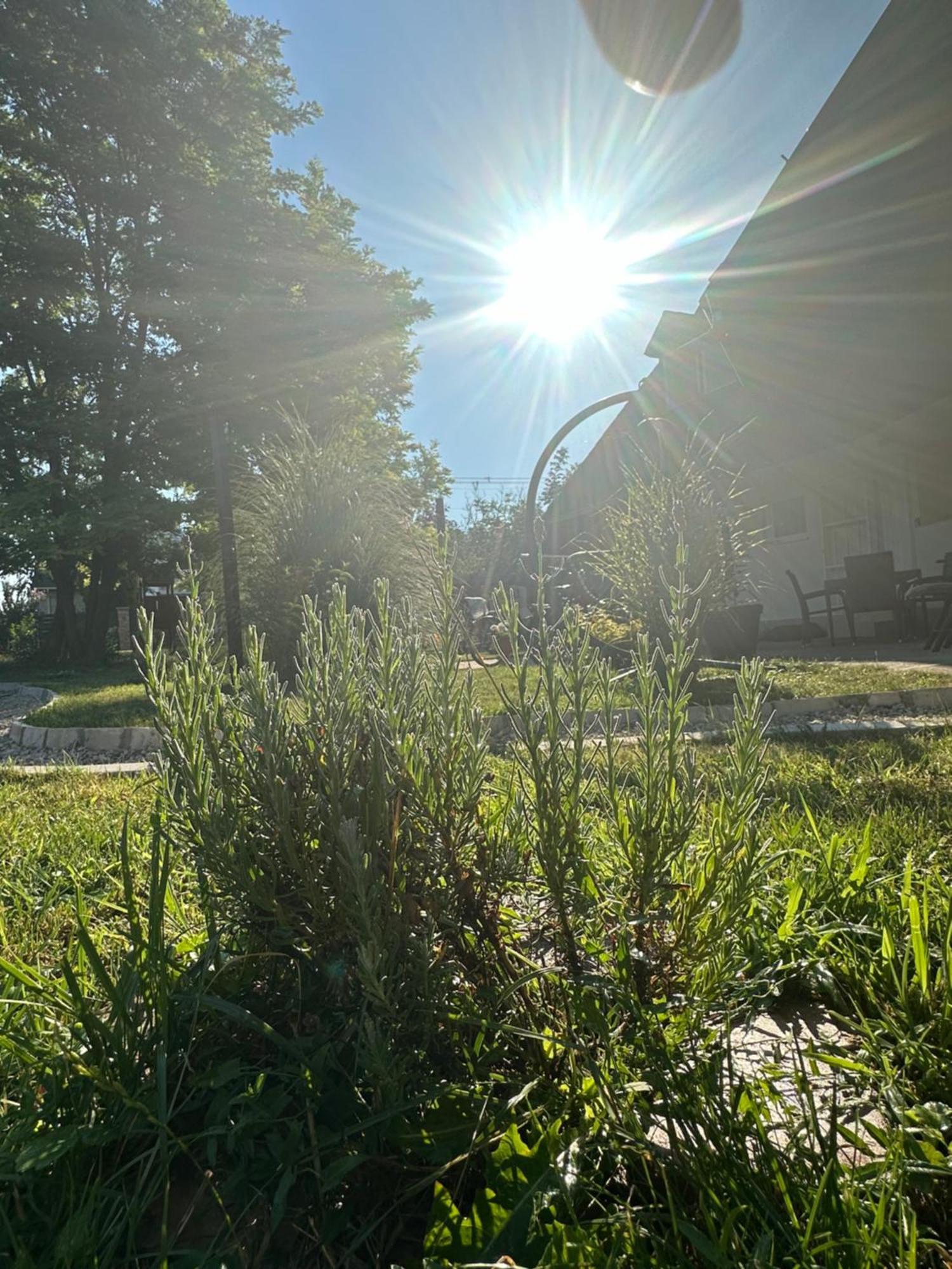 Levendulakert Siofok Apartmanhaz Bagian luar foto